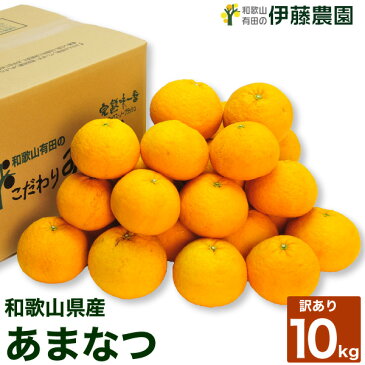 【訳あり】お徳用 あまなつ10kg 甘夏　春　柑橘類　 [ノーワックス・ノーブラッシング・防腐剤不使用]