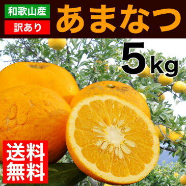 甘夏 あまなつ 訳あり 5kg 送料無料 和歌山 アマナツ 春 の みかん 自宅用 手詰め 箱買い ノーワックス ノーブラッシング 特別栽培 詰め合わせ