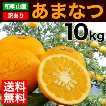 甘夏 あまなつ 訳あり 10kg 送料無料 和歌山 アマナツ 春 の みかん 自宅用 手詰め 箱買い ノーワックス ノーブラッシング 特別栽培 詰め合わせ