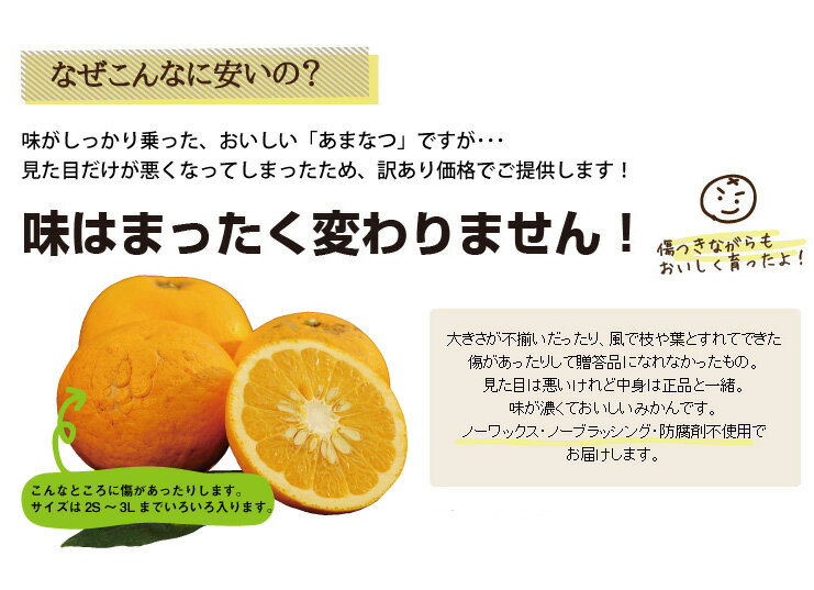 【訳あり】あまなつ（甘夏）2kg　2箱〜送料無料、3箱で1箱おまけ♪和歌山有田のみかん専門、伊藤農園から直送！ [ノーワックス・ノーブラッシング・防腐剤不使用（北海道・沖縄は送料540円）