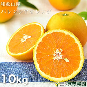 バレンシアオレンジ 10kg 送料無料 和歌山 アマナツ 美品 夏 オレンジ 手詰め 箱買い ノーワックス ノーブラッシング 特別栽培 お返し 贈り物 詰め合わせ お供え 御供 粗品 引っ越し 挨拶