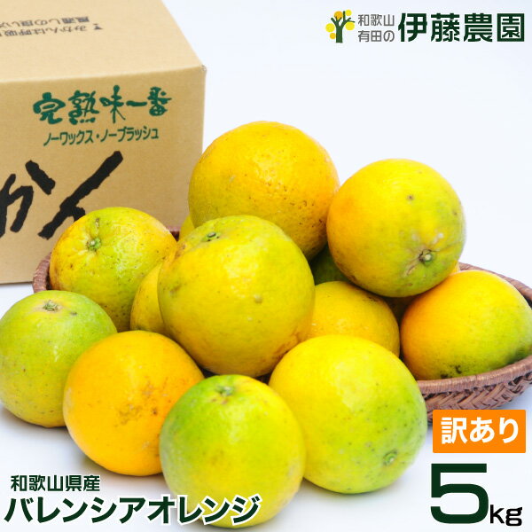 バレンシアオレンジ 訳あり 5kg 送料無料 和歌山 オレンジ 春 の みかん 自宅用 手詰め 箱買い ノーワックス ノーブラッシング 特別栽培 詰め合わせ北海道 沖縄 送料 756円