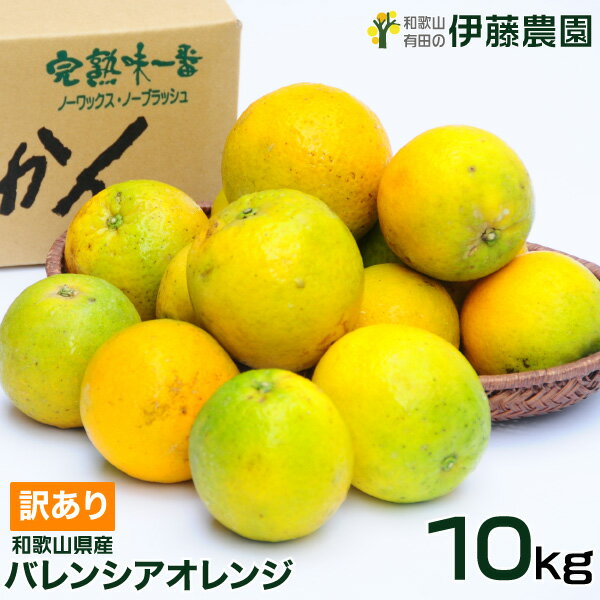 バレンシアオレンジ 訳あり 10kg 送料無料 和歌山 オレンジ 春 の みかん 自宅用 手詰め 箱買い ノーワックス ノーブラッシング 特別栽培 詰め合わせ北海道 沖縄 送料 756円