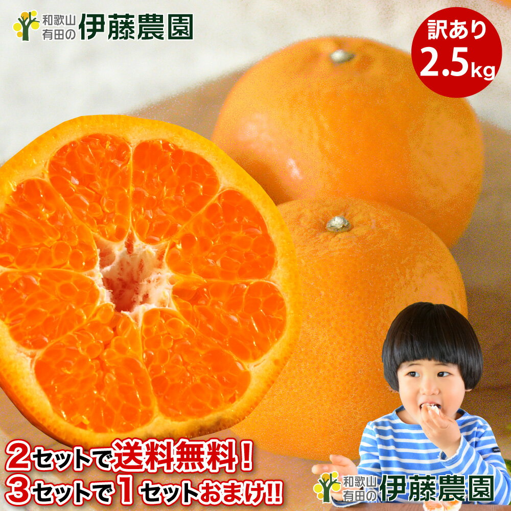 ＼3,000円以上でクーポン利用200円OFF／【2箱購入で5kg分送料無料 3箱購入で2.5kg増量！10kg分でお届け】はるみ みかん 訳あり 2kg 和歌山 春 の みかん 自宅用 手詰め 箱買い ノーワックス ノーブラッシング 特別栽培 詰め合わせ【3月中から発送！】 暑中見舞い 残暑見舞いのサムネイル