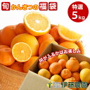 柑橘類 詰め合わせ かんきつ みかん 5kg 和歌山産みかん 送料無料 防腐剤 不使用 お取り寄せ フルーツ 盛り合わせ ポンカン いよかん 八朔など 旬 果物...