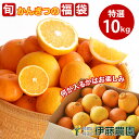 柑橘類 詰め合わせ かんきつ みかん 10kg 和歌山産みかん 送料無料 防腐剤 不使用 お取り寄せ フルーツ 盛り合わせ ポンカン いよかん 八朔など 旬 果...