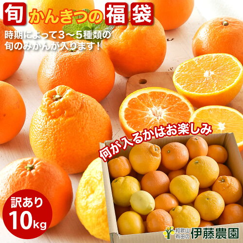 有田から産地直送！旬のかんきつが3〜5種類入ります♪柑橘詰め合わせ ...