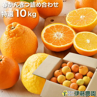 柑橘詰め合わせ