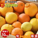 【期間限定SALE★7,020円⇒5,940円】柑橘詰め合わせ かんきつ みかん 訳あり 10kg 和歌山産みかん 送料無料 防腐剤 不使用 買い 蜜柑お取り寄...