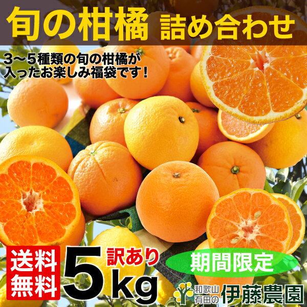 清見 八朔 甘夏 カラマンダリン など 春 の みかん かんきつ 詰め合わせ 訳あり 5kg 送料無料 和歌山 自宅用 フルーツ 盛り合わせ 福袋 お楽しみ 箱 柑橘類 手詰め 特別栽培