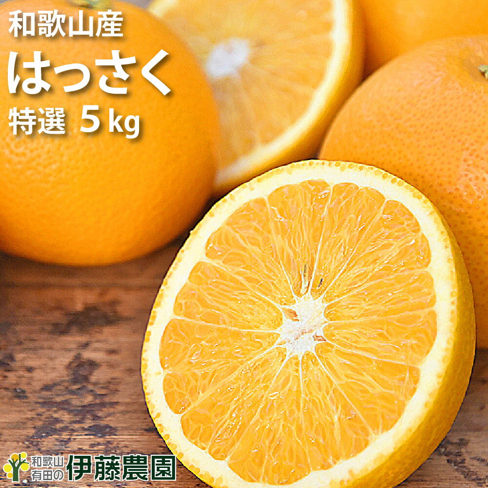 ポイント5倍 八朔 はっさく みかん 5kg 送料無料 和歌山 ハッサク 秀品 春 旬 みかん 手詰め 箱買い ノーワックス ノーブラッシング 特別栽培 お返し 贈り物 詰め合わせのサムネイル