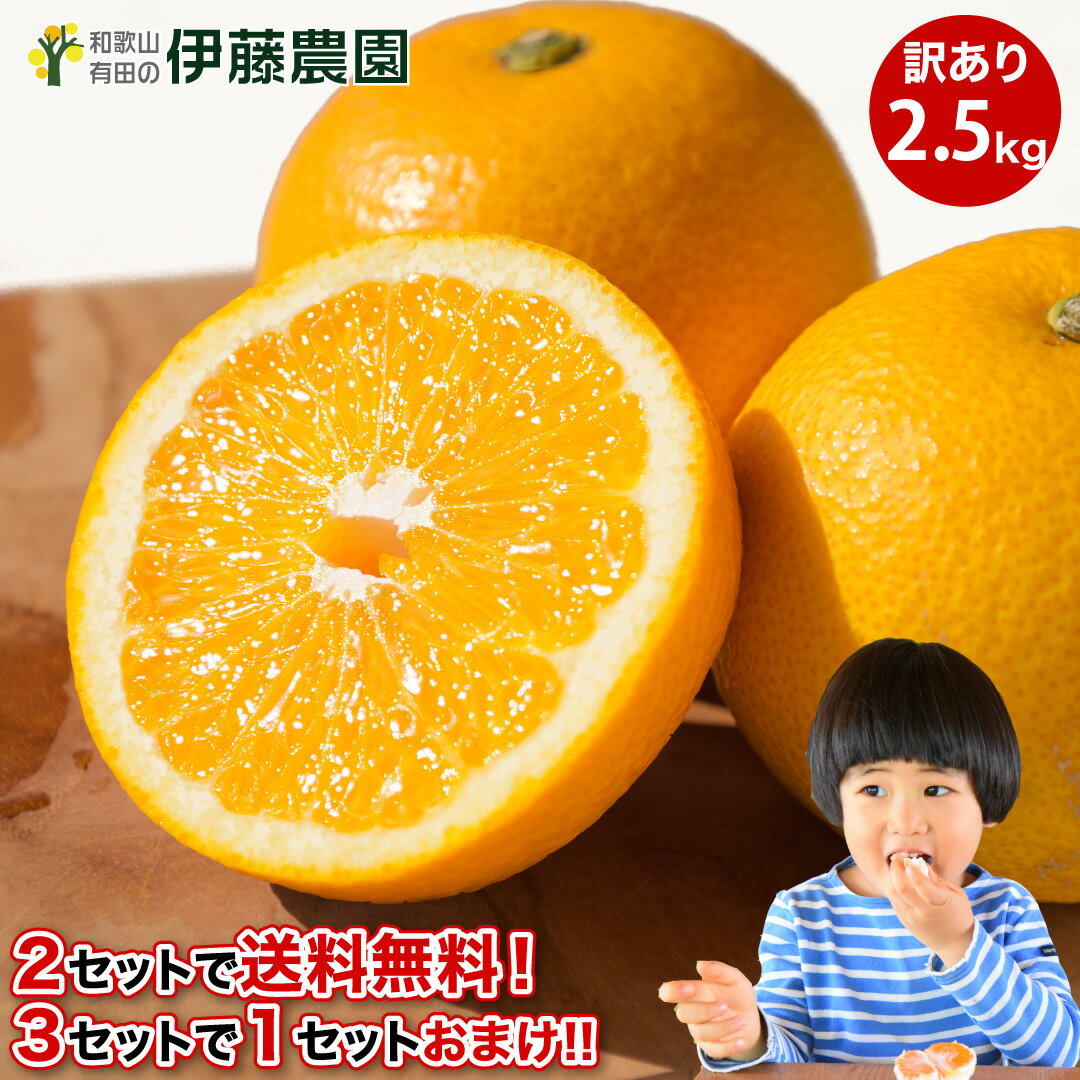 八朔 はっさく 訳あり 送料無料 2.5kg 2箱 購入で 送料無料 3箱 買うと 1箱 おまけ 和歌山 ハッサク 春 の みかん 自宅用 手詰め 箱買い ノーワックス ノーブラッシング 特別栽培 詰め合わせ