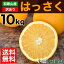 八朔 はっさく 訳あり 10kg 送料無料 和歌山 ハッサク 春 の みかん 自宅用 手詰め 箱買い ノーワックス ノーブラッシング 特別栽培 詰め合わせ北海道 沖縄 送料 770円