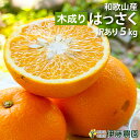 木成り 八朔 きなり はっさく 訳あり 5kg 送料無料 和歌山 木なり ハッサク 春 の みかん 自宅用 手詰め 箱買い ノーワックス ノーブラッシング 特別...