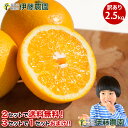 【2箱購入で5kg分送料無料 3箱購入で2.5kg増量!10kg分でお届け】木成り 八朔 きなり はっさく 訳あり 2.5kg 送料無料 和歌山 木なり ハッサ...