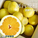 河内晩柑 訳あり 5kg 送料無料 和歌山 和製 グレープフルーツ 春 の みかん 自宅用 手詰め 箱買い ノーワックス ノーブラッシング 防腐剤 不使用 特別...