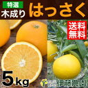 木成り 八朔 きなり はっさく 5kg 送料無料 和歌山 美...