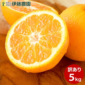 清見 きよみ 訳あり 5kg 送料無料 和歌山 キヨミ 清見オレンジ 春 の みかん 自宅用 手詰め 箱買い ノーワックス ノーブラッシング 特別栽培 詰め合わせ