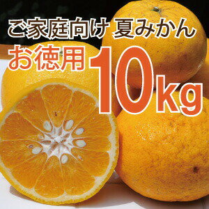 夏みかん　夏ミカン　訳あり 10kg 送料無料 和歌山 春 の みかん なつみかん　自宅用 手詰め 箱買い ノーワックス ノーブラッシング 特別栽培 詰め合わせ北海道 沖縄 送料 756円