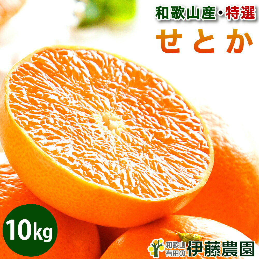＼今なら2,900円以上でクーポンご利用200円引き／せとか みかん 10kg 送料無料 和歌山 美品 希少 柑橘の大トロ 手詰め 箱買い ノーワックス ノーブラッシング 特別栽培 贈り物 詰め合わせのサムネイル