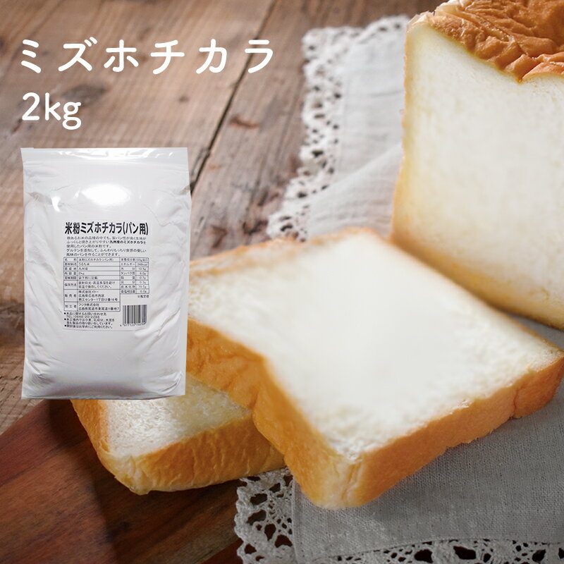 ミズホチカラ 米粉 2kg パン用米粉 九州産 国産 国内産 ベーカリー パン