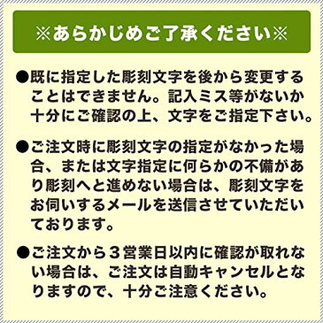 【メール便送料無料】【名入れ】★数量限定 ★素掘り ディズニージェットストリーム 4＆1 0.5mm MSXE5-1500D ドナルド