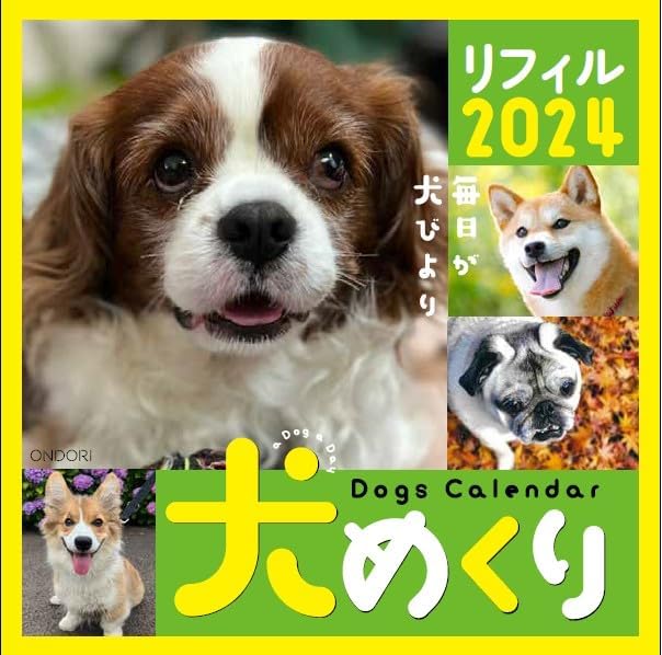 シーオーツー 犬めくり 2024年 カレンダー リフィル 日めくり CK-D24-02