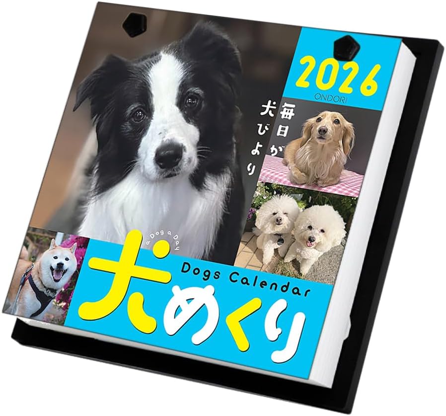 ランキング受賞!! 中央経済社 シーオーツー 2026年 カレンダー 犬めくり CK-D26-01