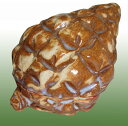 【茶道具】【送料無料】萩焼 松笠香合渡辺栄泉作(共箱)