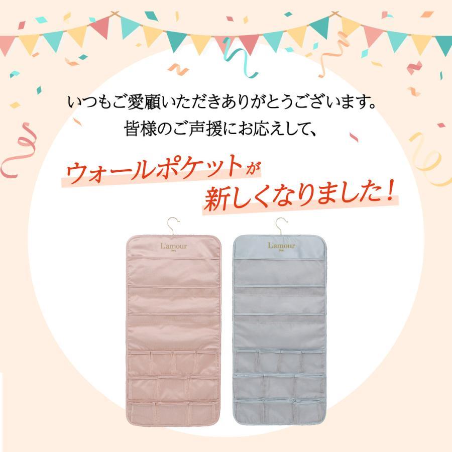 下着 収納 仕切り ウォールポケット ハンガー式 ハンガー 吊り下げ収納 ブラの型崩...