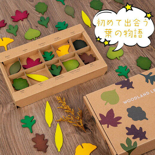 木のおもちゃ 知育玩具 積み 色認識 植物認識植物2歳 3歳 4歳 5歳 6歳 誕生日ギフト 出産祝い 木製 葉 木の葉 カラフル 植物 認識 モンテッソーリ おもちゃ 型はめ 子供 ブロック パズル 木製 知育 オモチャ 玩具 室内 遊び キッズ 誕生日プレゼント 木製パズル