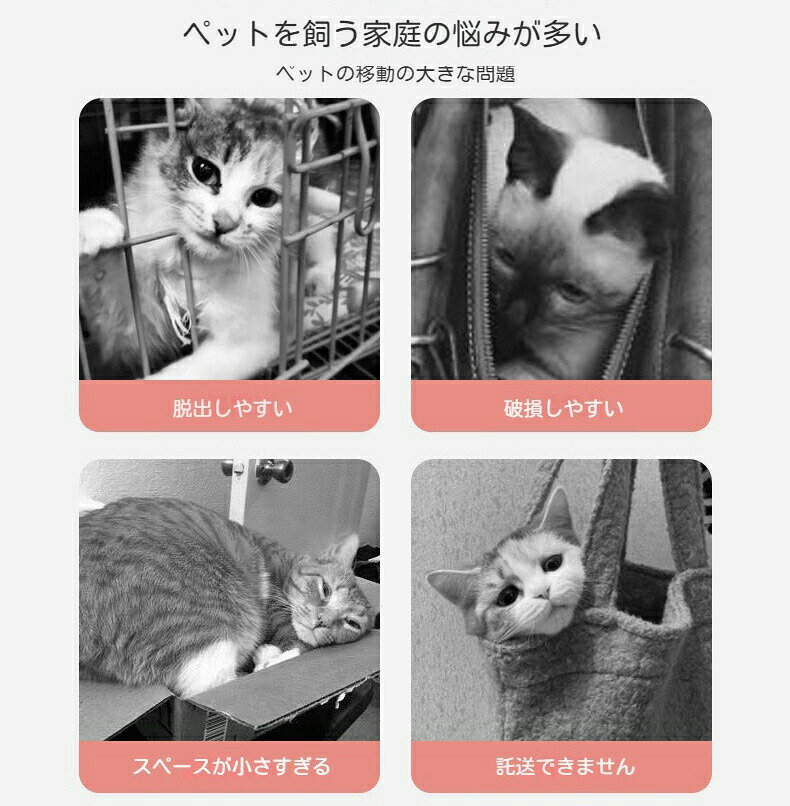 イトウショップ20の送料無料 犬 猫 キャリーケース ペットキャリー キャリー コンテナ 換気 ペット用 犬用 猫用 お出かけ 旅行 通院 クレート 飛行機 ドライブ 猫 ハードキャリー 小型犬 M\L 給餌皿 碗付き マット パッド付き 犬猫通用 3色｜アングル2