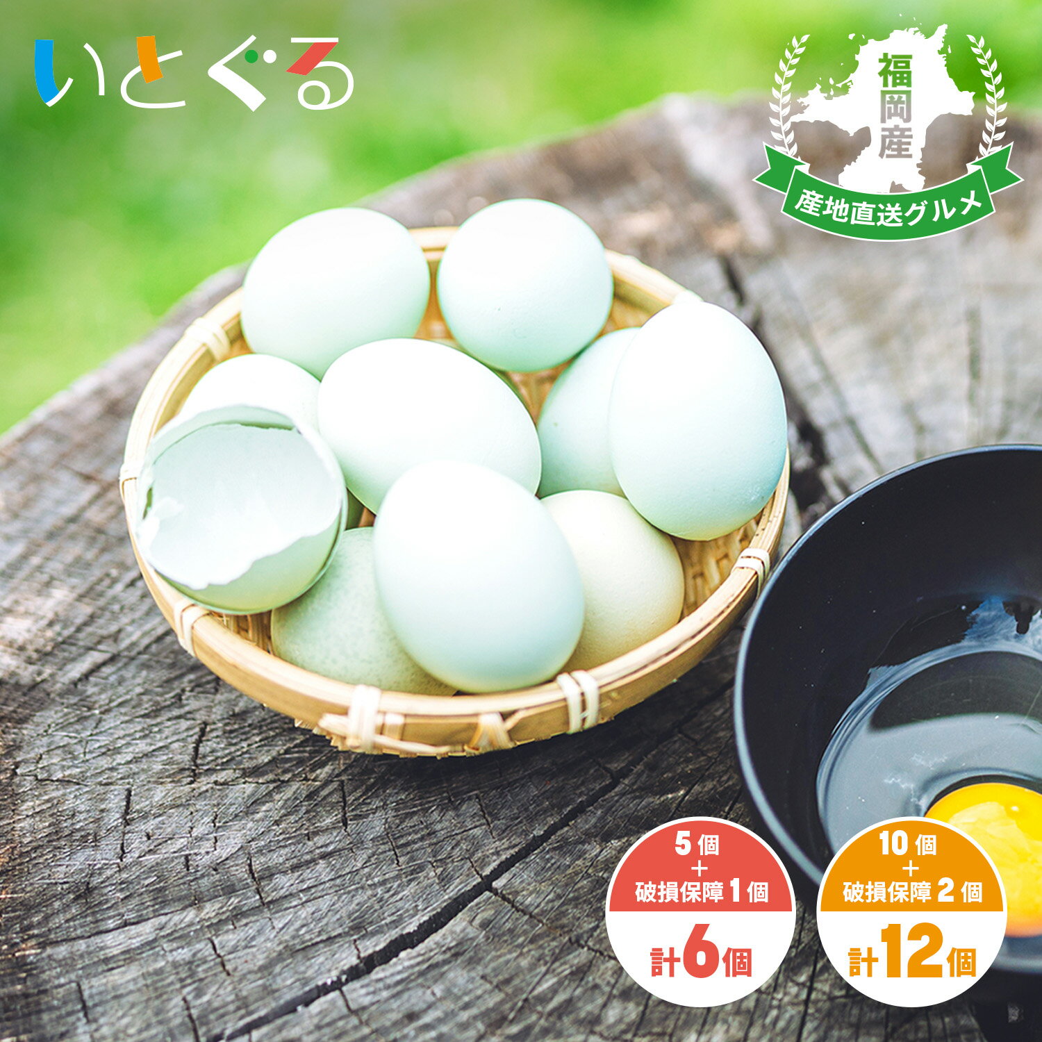 Itoshima Blue (イトシマブルー) 青いたまご アローカナ種 天然青殻卵