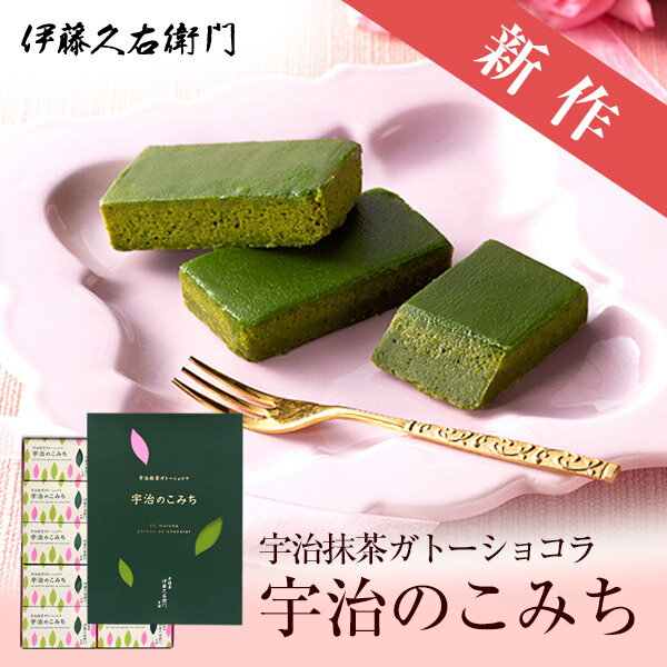 バレンタイン バレンタインチョコ 本命 チョコ 義理チョコ チョコ チョコレート 宇治のこみち 10個入 § 産休 プチギフト お菓子 退職 職場 大量 ギフト ケーキ 個包装 感謝 お礼 プレゼント メッセージ 箱入り 出産 和菓子 お礼の品 お世話になりました 内祝