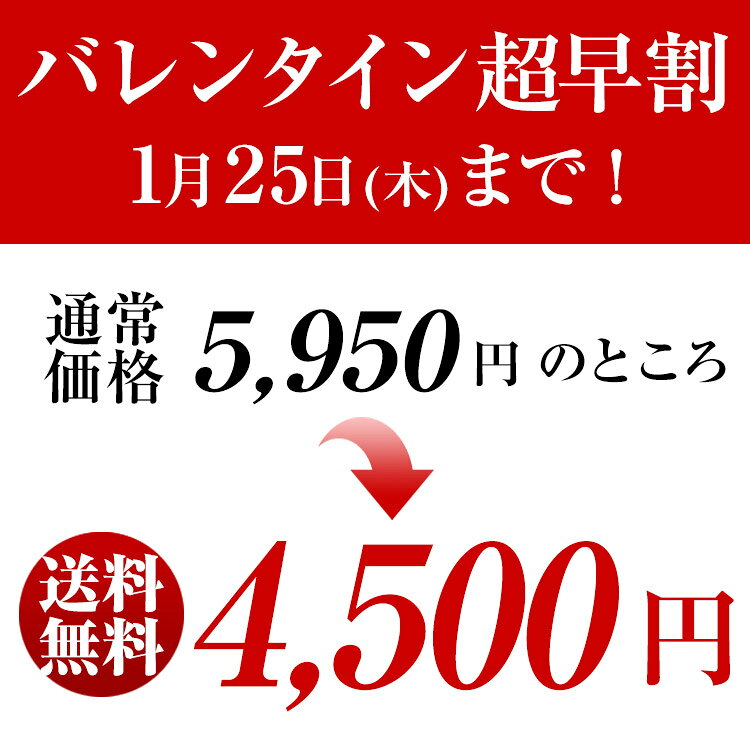 本命 義理返し 人気プレゼント 宇治抹茶生チョコレート 16粒入×5個セット【送料無料】【まとめ買い】 §【賞味期限約30日間】 超濃厚 抹茶スイーツ 贈り物 内祝い ギフト お祝い スイーツ お取り寄せ お彼岸 あすつく