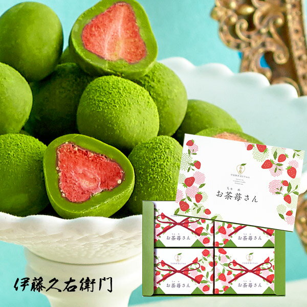 父の日 お中元 御中元 プレゼント 2023 人気 お茶 抹茶 スイーツ チョコレート チョコ 宇治抹茶いちごとりゅふお茶苺さん35g 4個入§職場 大量 まとめ買い おしゃれ お返し 義理返し お配り のお返し お菓子 かわいい 子供 お彼岸 退職祝い ギフト ギフトのサムネイル