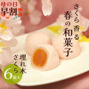 いと重菓舗 季節限定 埋れ木 さくら 6個入 和菓子 ギフト 滋賀 彦根 手土産 お供え物