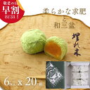 いと重菓舗 大口注文・法人様向け 埋れ木 6個入 20箱 和菓子 ギフト 滋賀 彦根 手土産 お供え物 スイーツ お中元 夏ギフト 敬老の日