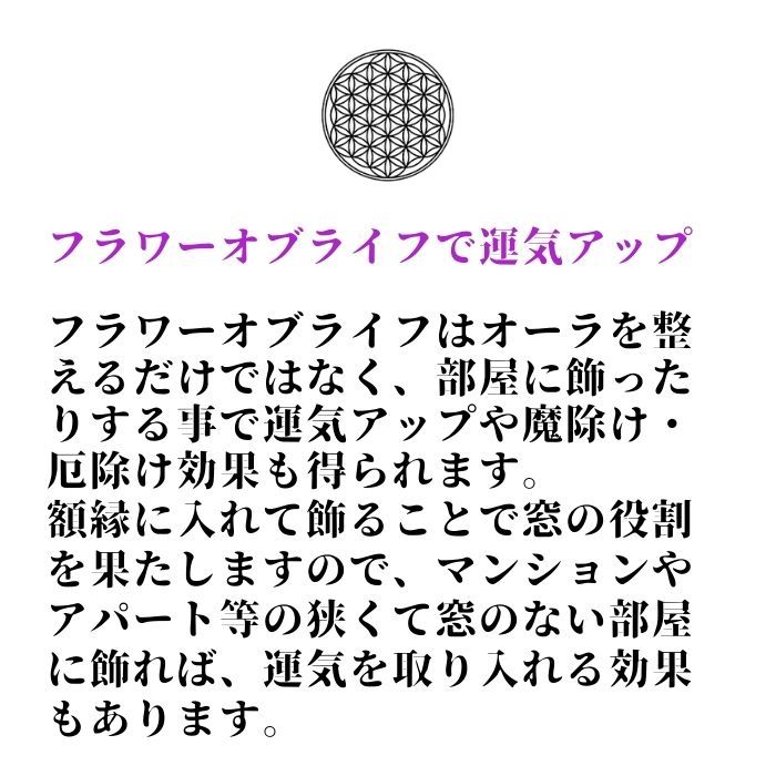 ���� ����ƥꥢ ������� �ե����֥饤�� ������ ������ ���� ��ӥ� ���� ���� �ȥ��� ���볨 �����ȥե졼�� �����ȥѥͥ� ����󥢡��� �����إ����� �ޥ���饢���� �������̿�����