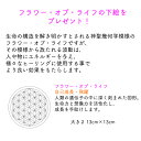 ストリングアートの制作キット 鳳凰デザイン 56ピン釘打ち板 12色糸セット 作り方マニュアル付き 縁起の良い 運気アップ 金運アップ 恋愛運アップ 糸かけアー...