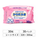 【19日20時〜ポイント3倍】【公式】大成薬品工業 大判 やわらか からだふき ウェットタオル 30枚 電子レンジ対応可 _IST ウェットティッシュ ウェット...