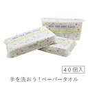 【9日20時〜ポイント3倍】【公式】ペーパータオル 中判 手を洗おう 業務用 40パック 120組(240枚) 50120001 感染症対策 ダブル ソフト お...