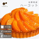 あんずタルト スイーツ ケーキ タルト 生地 長野県産 あんず ハーコット フルーツ ホール 5号 取り寄せ 冷凍 ギフト 贈り物 誕生日 バースデー 結婚 記念日 プレゼント お中元 御中元 残暑見舞い 暑中見舞い 祝い お祝い お礼 お返し グルテンフリー 低糖質