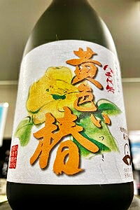 【限定品!】八千代伝 黄色い椿 いも焼酎 25度 720ml【鹿児島県垂水市 八千代伝酒造】
