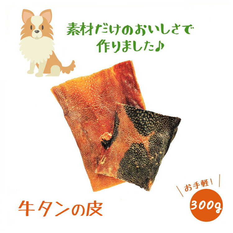 ＼ スーパーSALE 10%OFF ／ 【ポイント5倍】 無添加 犬のおやつ 牛タン皮100g 3 ジャーキー 大型犬 多頭飼い ペット 犬おやつ 犬用おやつ 牛 ビーフ 硬め 噛む 歯石 無添加 フード ペットフー…