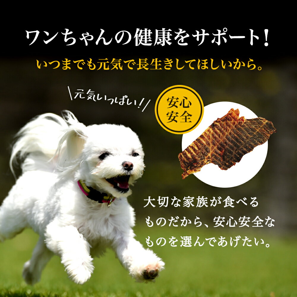 【25日はポイント10倍SALE】【獣医も絶賛/ポイント消化/お試し送料無料】犬 おやつ 無添加 国産 　ビーフジャーキー 100g×3P　【犬用 ペット用 小型犬 中型犬 大型犬 子犬 シニア犬 | 犬のおやつ いぬ ハード 硬い 予防 健康 ペットフード havepet】