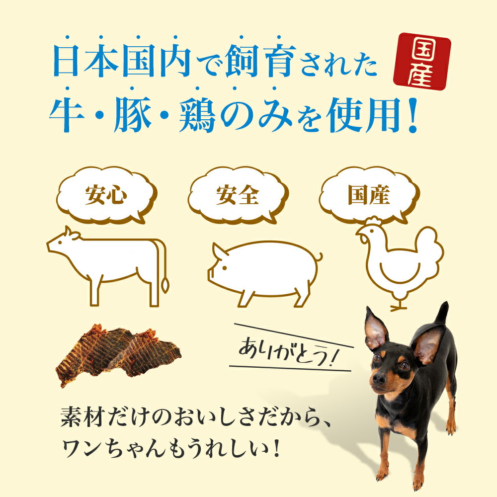 【25日はポイント10倍SALE】【獣医も絶賛/ポイント消化/お試し送料無料】犬 おやつ 無添加 国産 　ビーフジャーキー 100g×3P　【犬用 ペット用 小型犬 中型犬 大型犬 子犬 シニア犬 | 犬のおやつ いぬ ハード 硬い 予防 健康 ペットフード havepet】