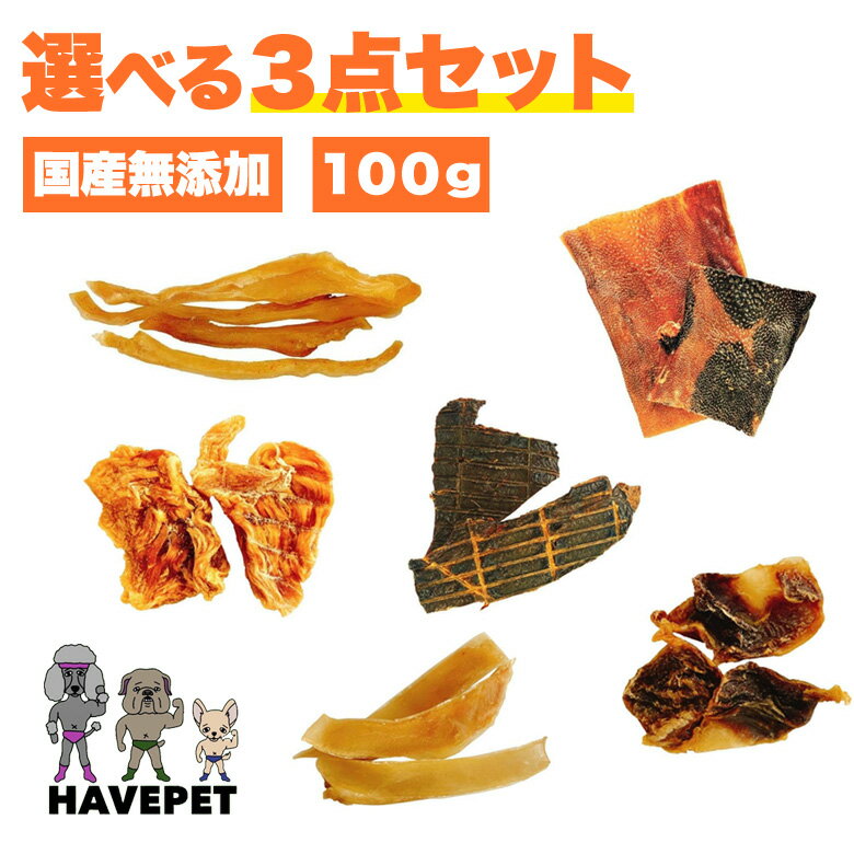 送料無料犬 おやつ お得で選べる3点セット 詰め合わせ 犬のおやつ 100g×3種類 無添加 ひとくちささみ すなぎも 豚耳スライス 豚耳細切り 牛タン皮 牛レバー 硬め ジャーキー 国産 健康 牛 鶏 豚 グレインフリー 歯周病予防 お試し 栄養 havepet