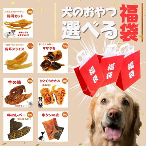 【選べるお試しセット】送料無料 犬のおやつ 30g×5種類 無添加 【福袋に ひとくちささみ すなぎも 豚耳スライス 豚耳細切りカット 牛タン皮 牛レバー 牛の肺 国産 健康 牛 鳥 豚 アレルギー グレインフリー 歯周病予防 お試し 栄養 】havepet