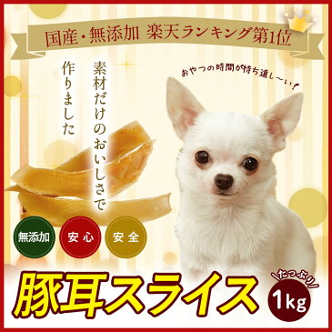 【25日は消費税還元ポイント10倍SALE】【送料無料】【いとしご】 無添加 犬のおやつ 豚耳スライス1kg(500g×2) ジャーキー 【 国産 業務用大袋 大型犬 多頭飼い 犬おやつ 無添加 国産 大袋 硬い ドッグフード シニア アレルギー グルテンフリー グレインフリー】